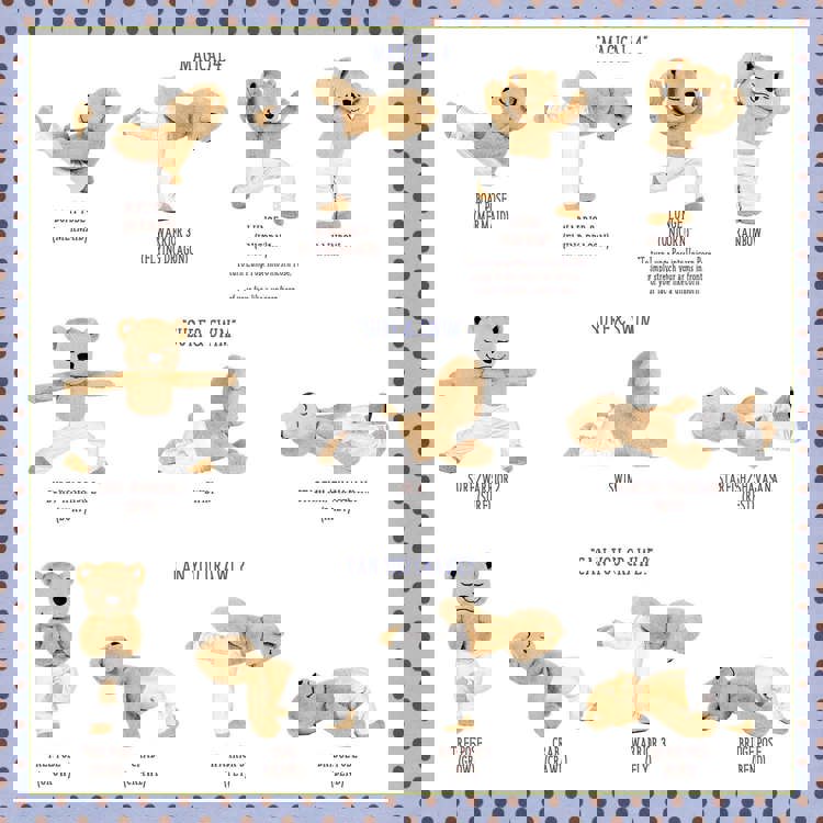 Bari Koral Yogapalooza CD Set
