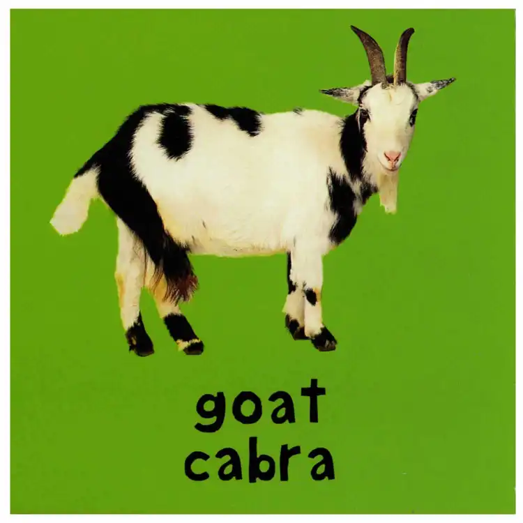 Bright Baby Bilingual Board Books