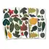 Becker's Outdoor Art Kit