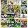 Becker's Infant & Toddler Posters: Let's Talk!
