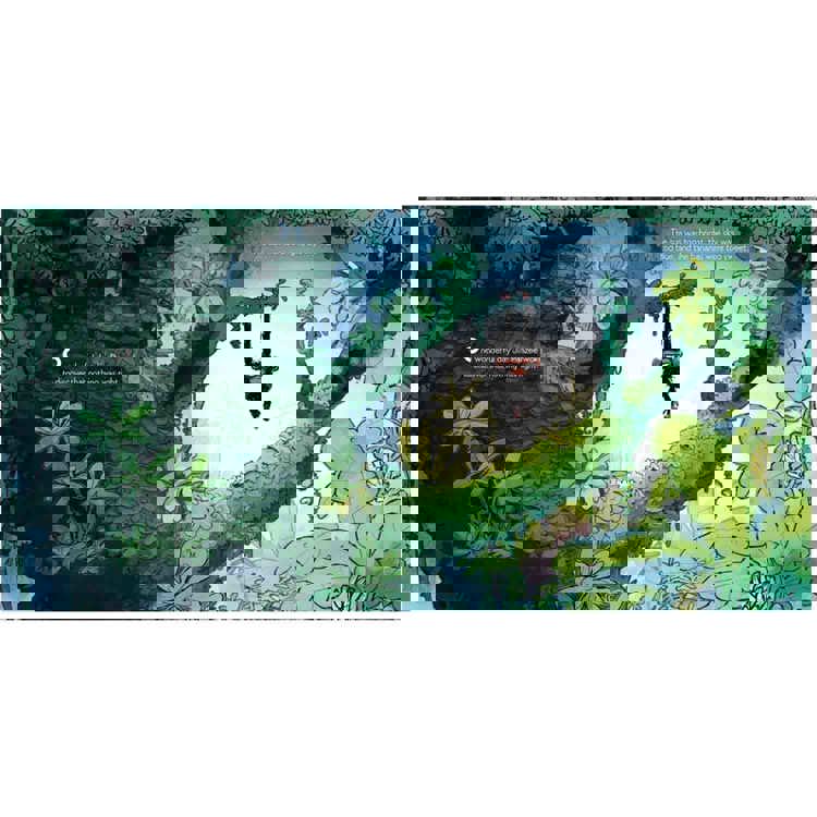 Feelings Book Set