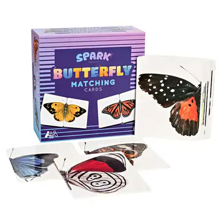 Butterfly Matching Game