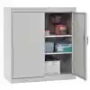 Storage Cabinet with Adjustable Shelves, Gray, 18"D x 36"H, 2 Shelves