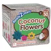 Coconut Flowers