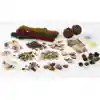 Natural Treasure Set
