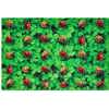 Pixel Perfect™ Real Ladybug Seating Rug Rectangle 6' x 9'