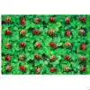 Pixel Perfect™ Real Ladybug Seating Rug