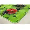 Pixel Perfect™ Real Ladybug Seating Rug