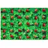 Pixel Perfect™ Real Ladybug Seating Rug Rectangle 8' x 12'