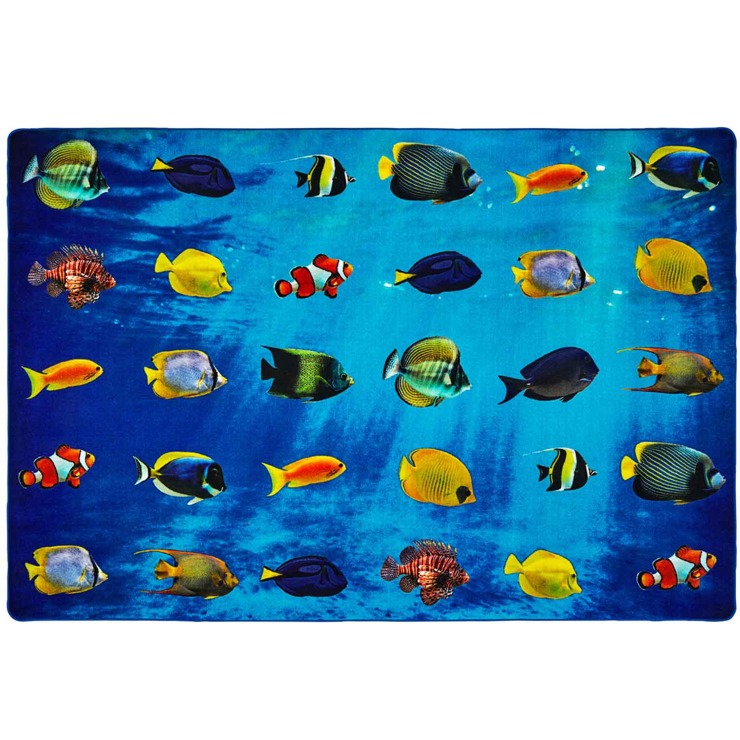 Friendly Fish Seating Rug, Rectangle 6x9