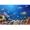 Explore the Ocean Rug, Rectangle 3' x 5'