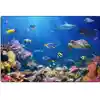 Explore the Ocean Rug, Rectangle 4' x 6'