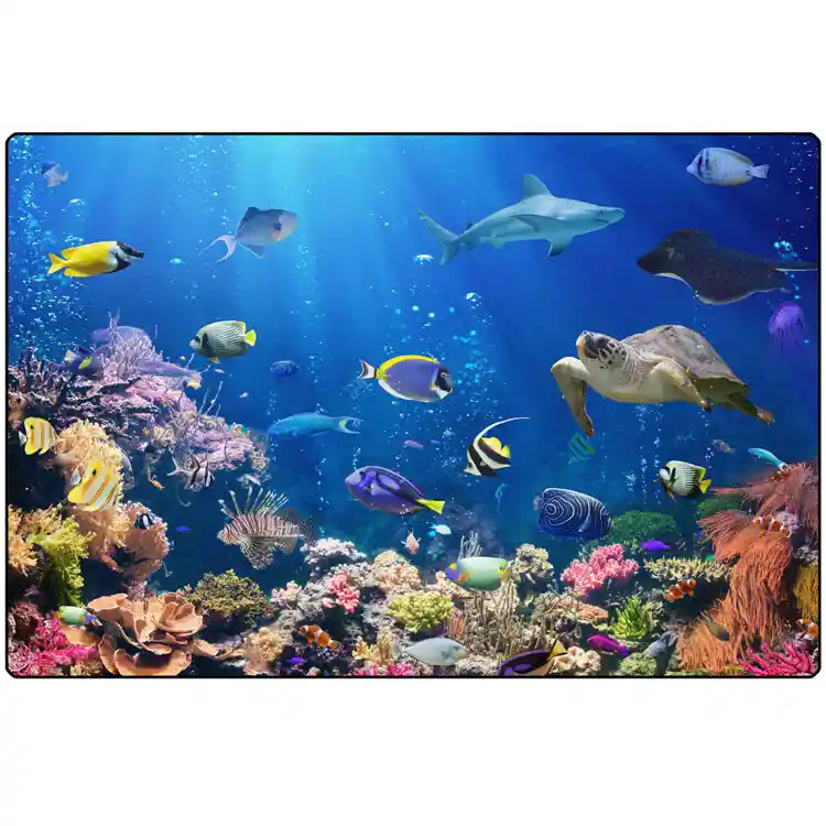Explore the Ocean Rug, Rectangle 4' x 6'