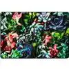 Succulent Garden Rug, Rectangle 4' x 6'