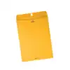 Clasp Envelopes, 9" x 12"