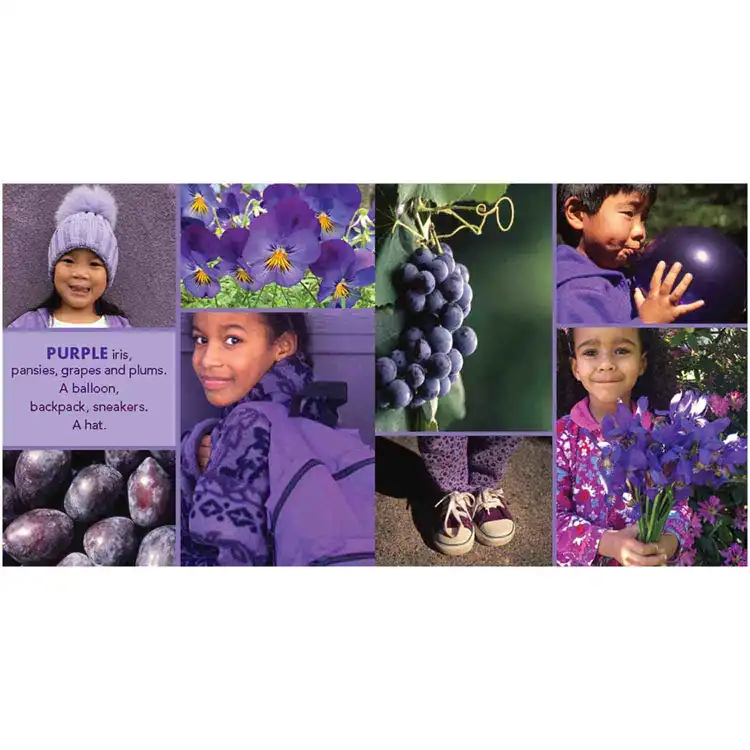 Colors & Shapes Book Set