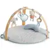 Cozy Spot Activity Gym