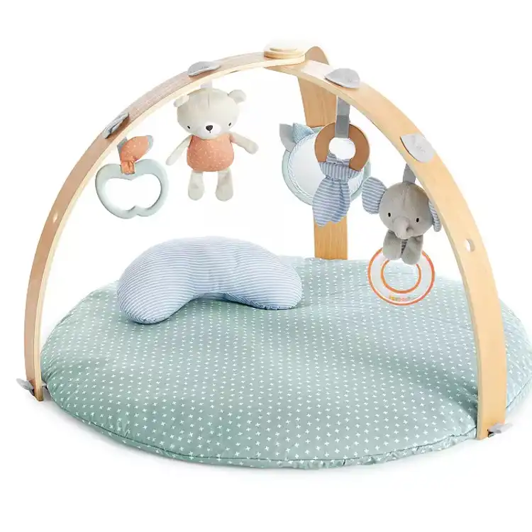 Cozy Spot Activity Gym