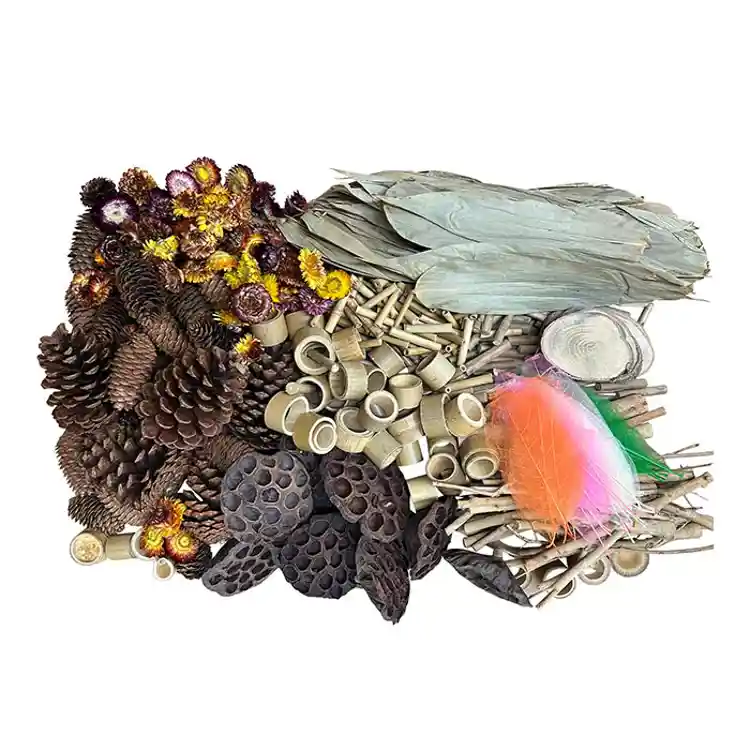 Naturals Woodland Wonders Set