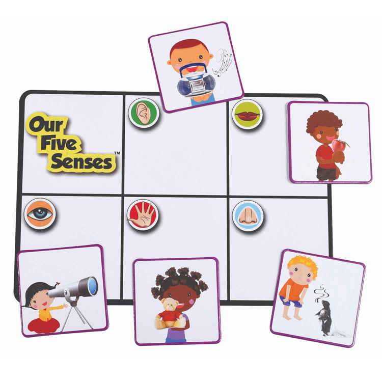 Our Five Senses Game