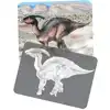 Dinosaur Picture Cards & X-Rays