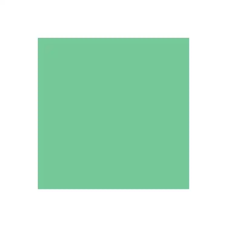 Dual Purpose Colored Copy Paper, Green