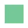 Dual Purpose Colored Copy Paper, Green