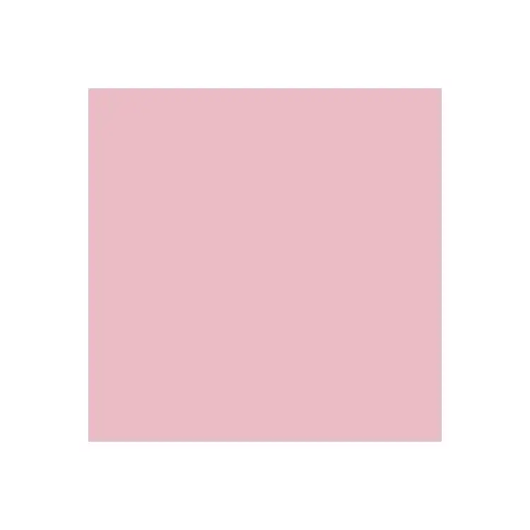 Dual Purpose Colored Copy Paper, Pink