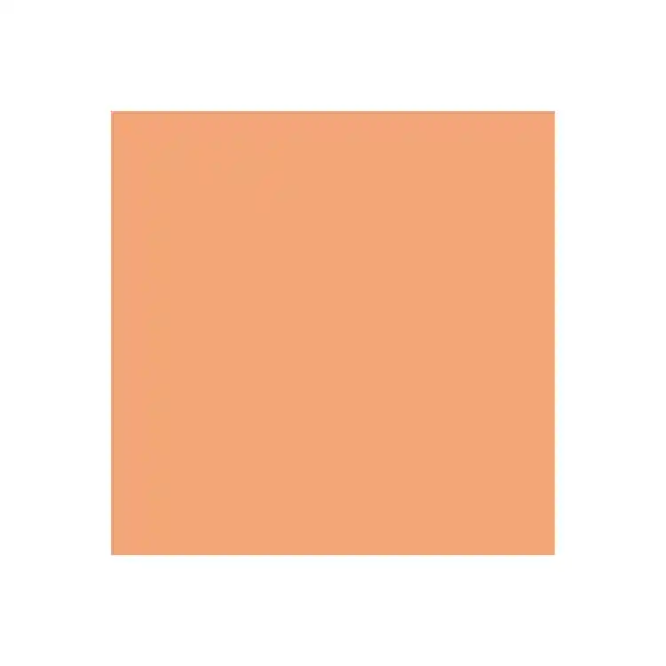 Dual Purpose Colored Copy Paper, Salmon