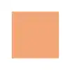 Dual Purpose Colored Copy Paper, Salmon