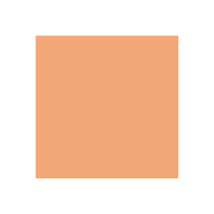 Dual Purpose Colored Copy Paper, Salmon