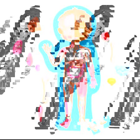 Human Body Puzzle