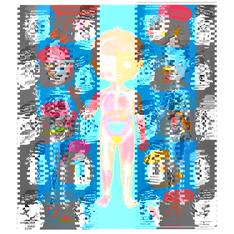 Human Body Puzzle