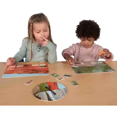 Animal Habitats Game