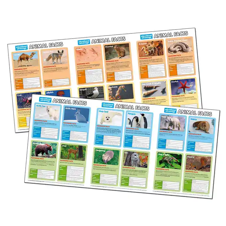 Animal Habitats Game