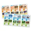Animal Habitats Game