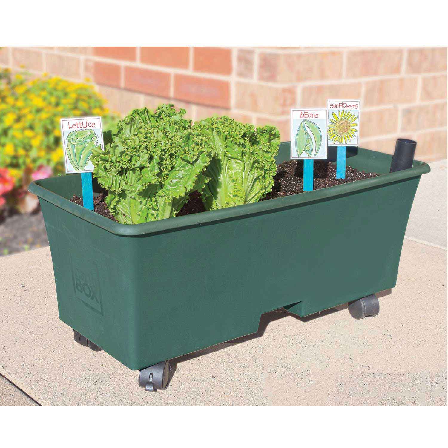 Earthbox® | STEM-Based Classroom Garden | Becker's