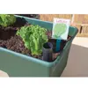 Earthbox®