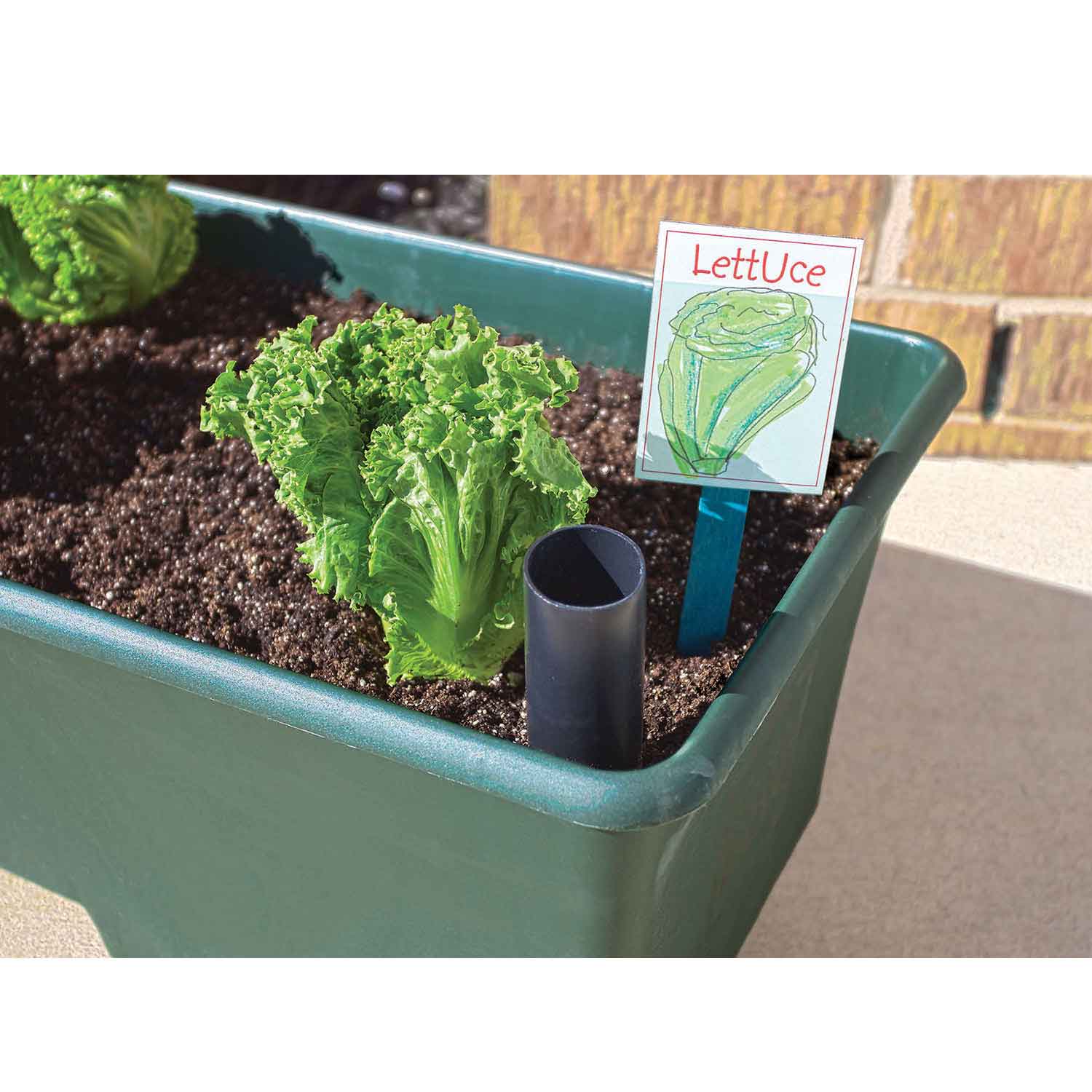 Earthbox® | STEM-Based Classroom Garden | Becker's