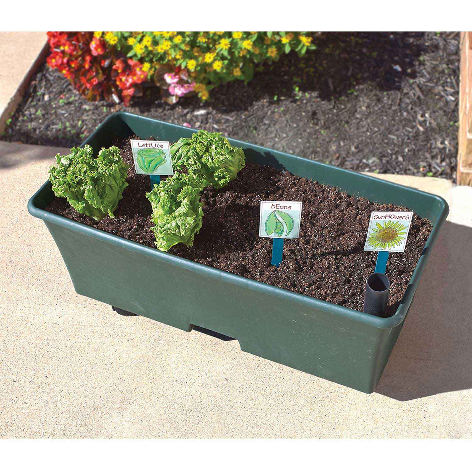 Earthbox® | STEM-Based Classroom Garden | Becker's