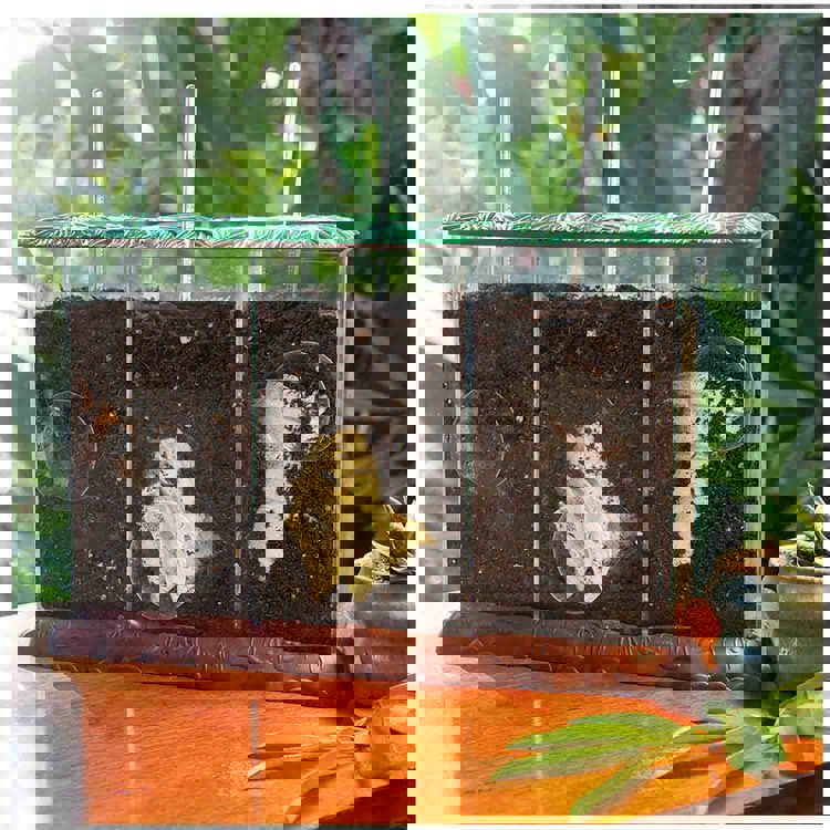 Compost Container