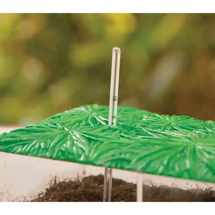 Compost Container