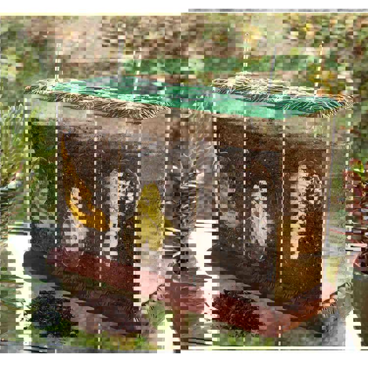 Compost Container