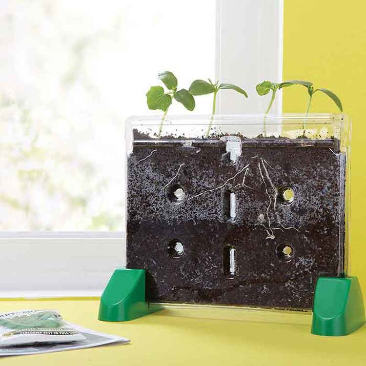 Sprout & Grow Window™