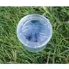 GeoSafari® Jr. Bug Viewer