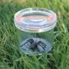 GeoSafari® Jr. Bug Viewer