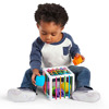 Building Baby's Brain Collection