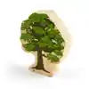 Trees of All Seasons