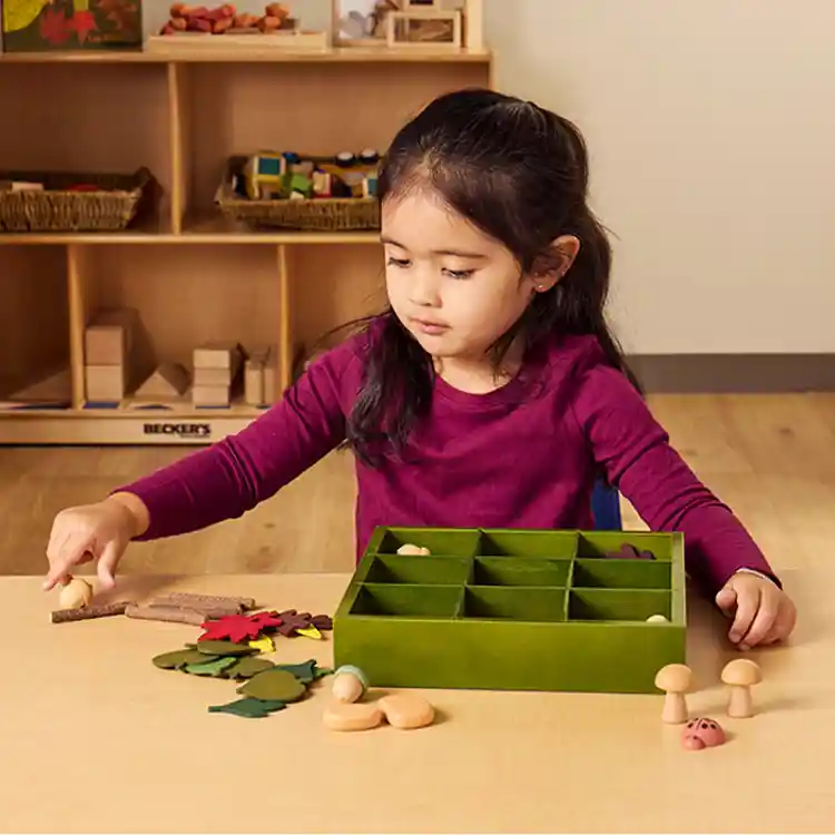 Nature's Sorting Box