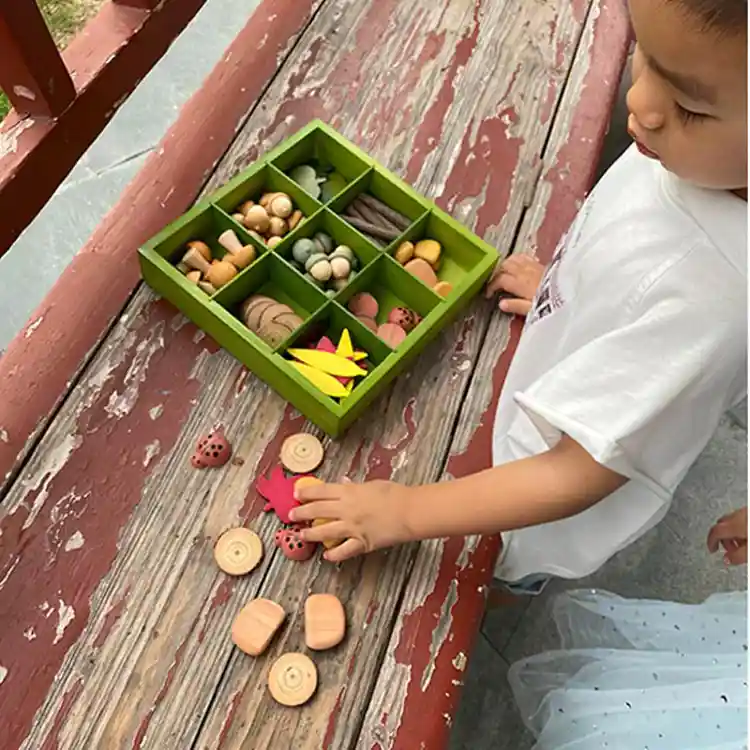 Nature's Sorting Box